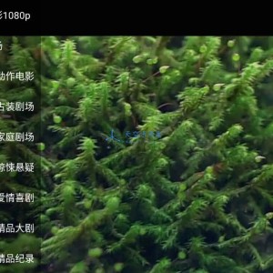 喵影视TV_v3.6.0内置源双播手机+盒子版