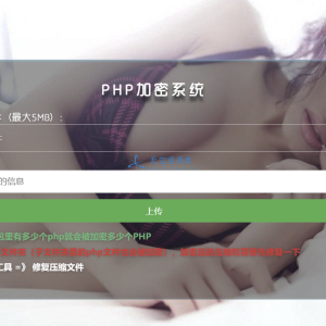 最新php项目加密源码 源码在线加密工具