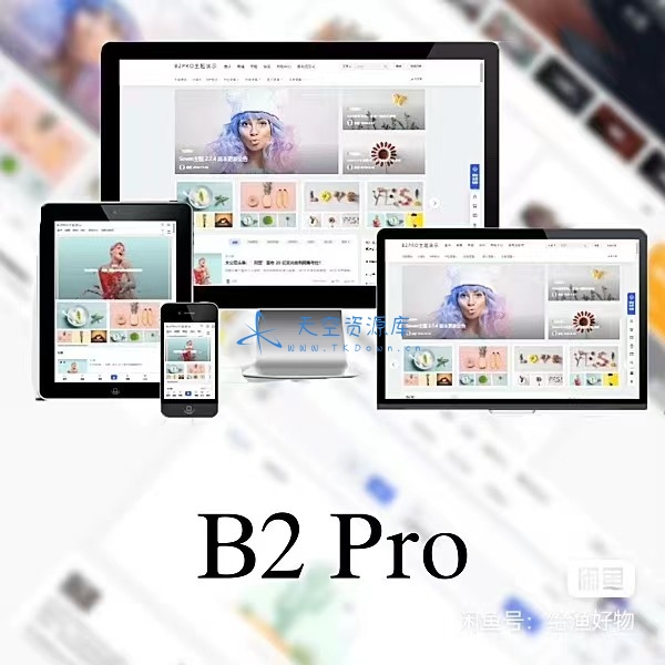 WordPress B2 Pro 主题 5.2.0 最新开心版, 附带官方包体与授权文件