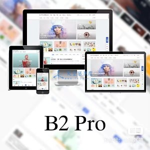 WordPress B2 Pro 主题5.2.0最新开心版,附带官方包体与授权文件